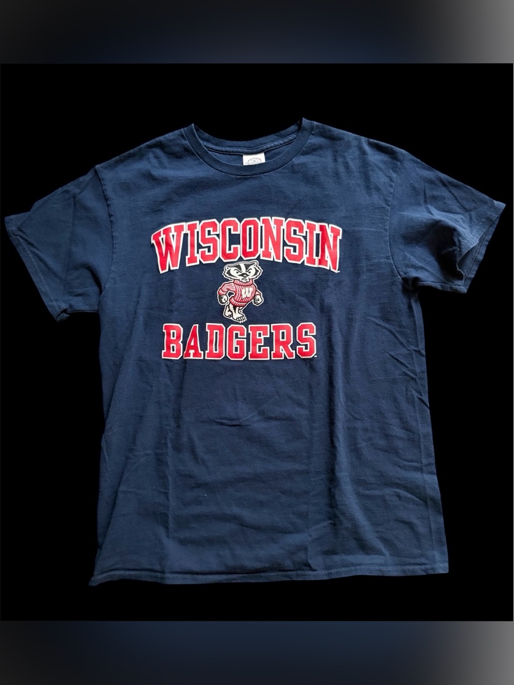 Wisconsin Badgers Blue T-Shirt Men's Medium